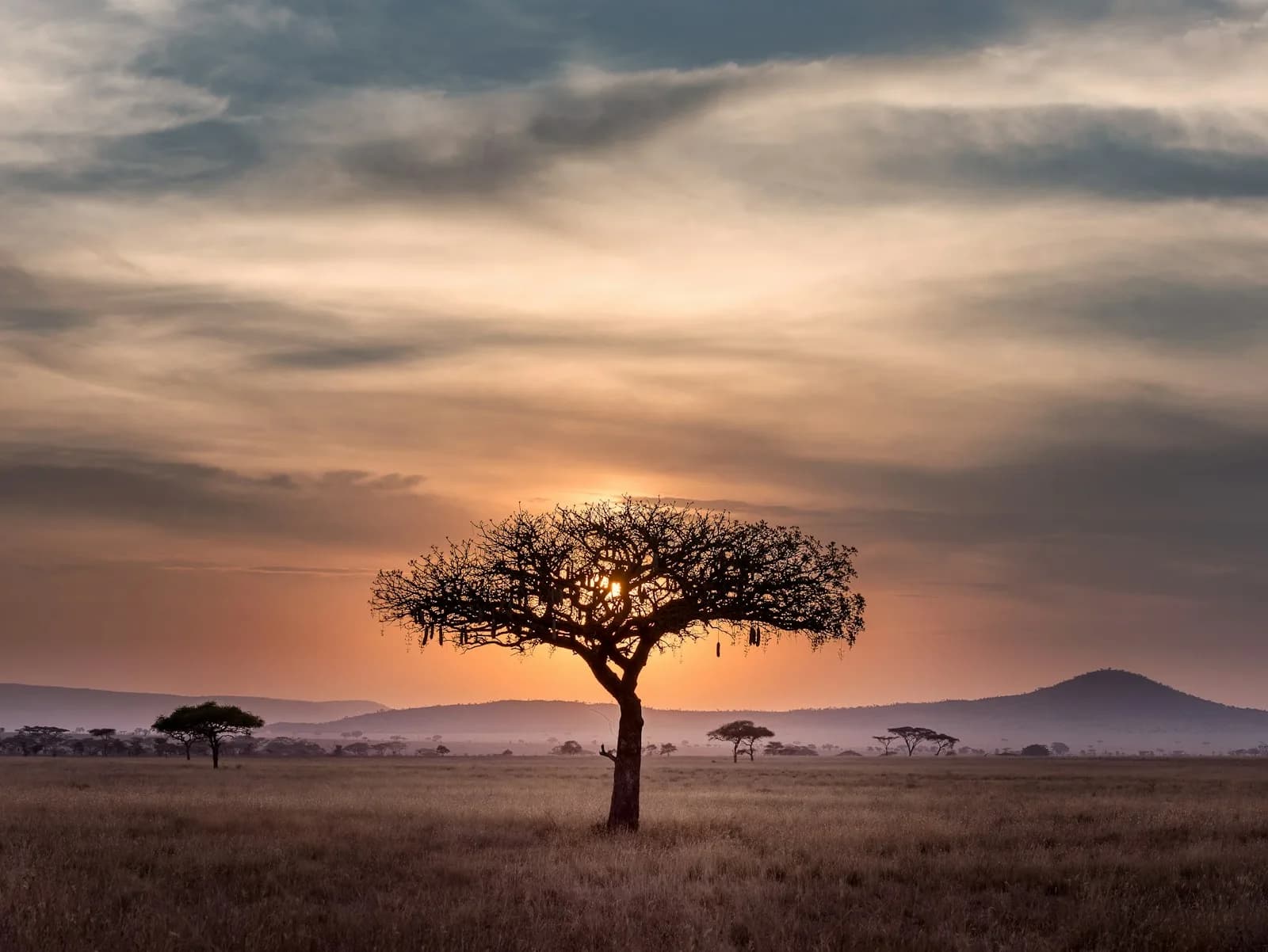Nairobi city skyline at dusk